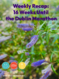 16 Weeks Until the Dublin Marathon